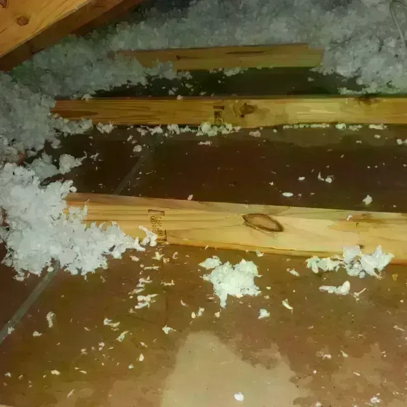 Attic Water Damage in Webster County, IA